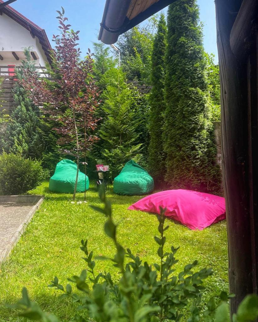 Vila Aldor Bran (Brasov) Exterior foto